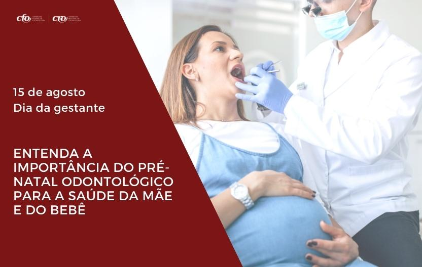 gravida no dentista